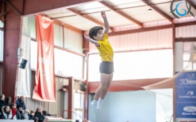 Campionato Galego Élite e Base Individual e Equipos X. Trampolín Xunta de Galicia - Campionato Galego Máster e Escolar Individual e Equipos X. Trampolín Xunta de Galicia